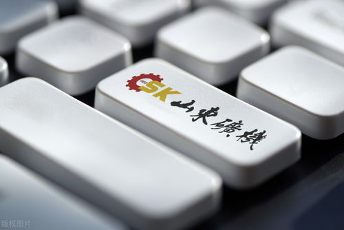 山東礦機(jī) 財(cái)報(bào)揭示股價(jià)低迷，互聯(lián)網(wǎng)游戲服務(wù)轉(zhuǎn)型挑戰(zhàn)重重